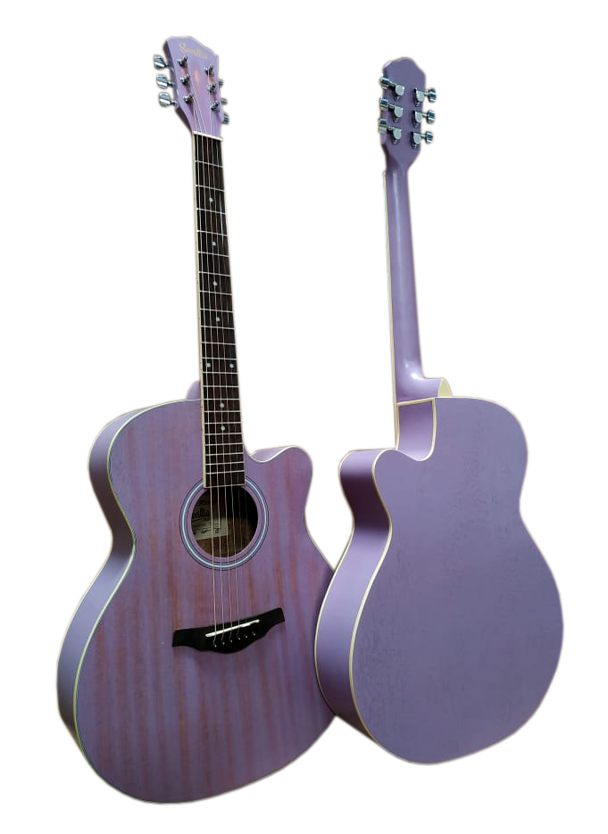 Гитара акустическая Sevillia IWC-235 MTP