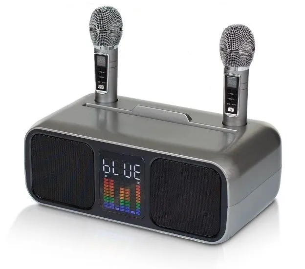 Караоке система с двумя радиомикрофонами SDRD SD 318 Grey