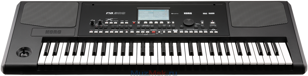 Аранжировочная станция KORG Pa300