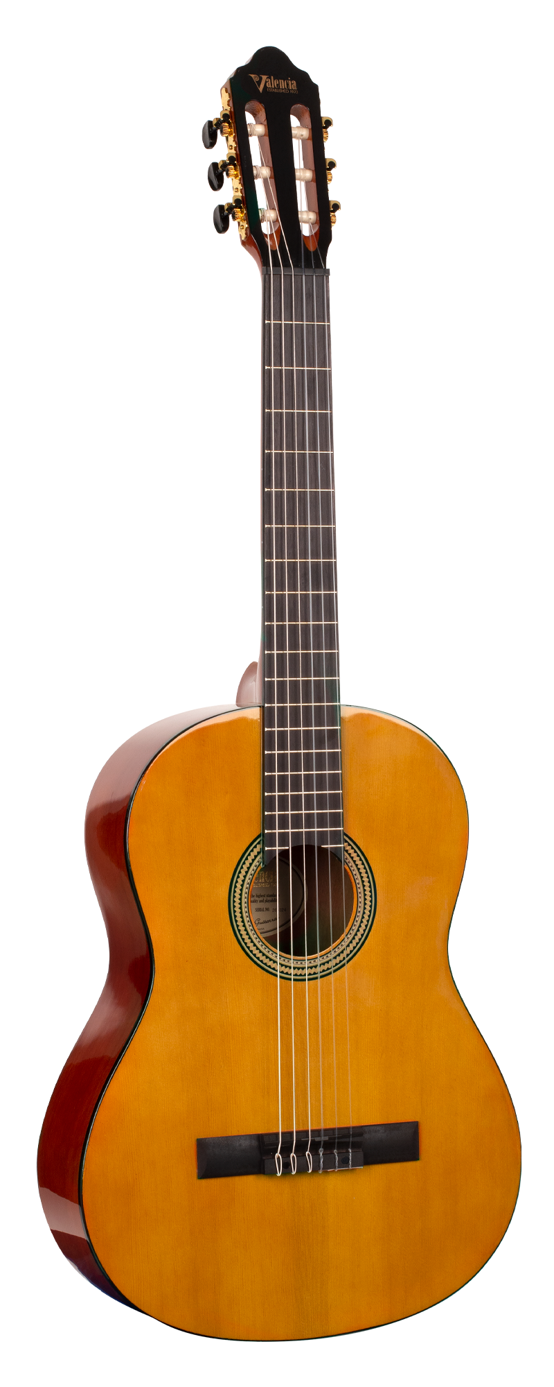Гитара классическая Valencia VC264