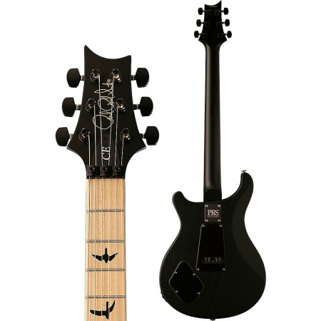 Электрогитара PRS CE24 Dustie Waring ZA Waring burst