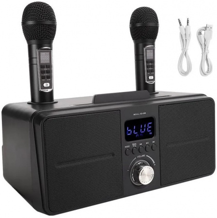 Караоке система с двумя радиомикрофонами SDRD SD 309