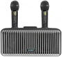 Караоке система с двумя радиомикрофонами  SDRD SD-319 Black