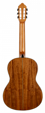 Гитара классическая Valencia VC564