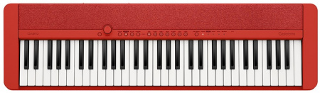 Цифровое пианино Casio CT-S1RD