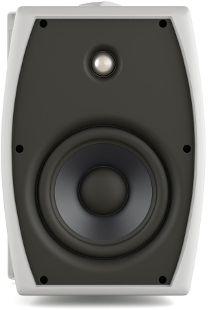 Громкоговоритель настенный CVGaudio ODF516TW