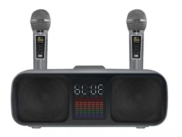 Караоке система с двумя радиомикрофонами SDRD SD 318 Grey