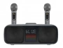 Караоке система с двумя радиомикрофонами SDRD SD 318 Grey