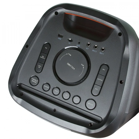 Портативная Акустическая система ELTRONIC EL20-18