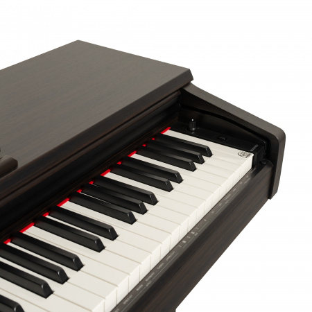 Цифровое пианино Rockdale Bolero Rosewood
