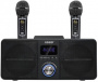 Караоке система с двумя радиомикрофонами SDRD SD 309