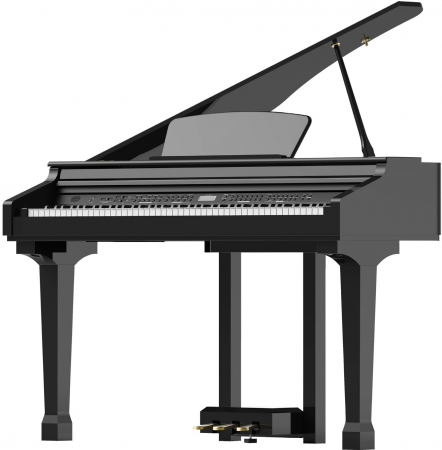 Цифровой рояль Ringway GDP1120 Black