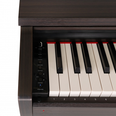 Цифровое пианино Rockdale Arietta Rosewood