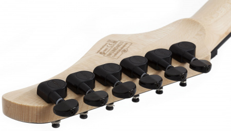 Электрогитара SCHECTER C-6 FR PRO ARB