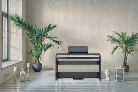 Цифровое пианино Becker BSP-102B