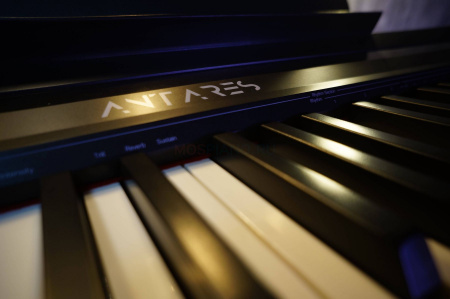 Цифровое пианино Antares D-300 Black