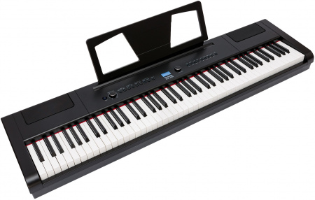 Цифровое пианино Rockdale RDP-4088 (Elegy) Black