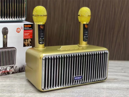 Караоке система с двумя радиомикрофонами  SDRD SD-319 Gold