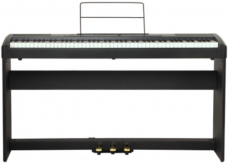 Цифровое пианино Ringway RP-25