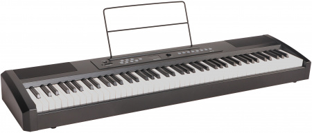 Цифровое пианино Ringway RP-25