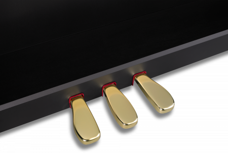 Цифровое пианино Casio Celviano GP-510BP