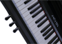 Цифровое пианино Antares D-300 Black