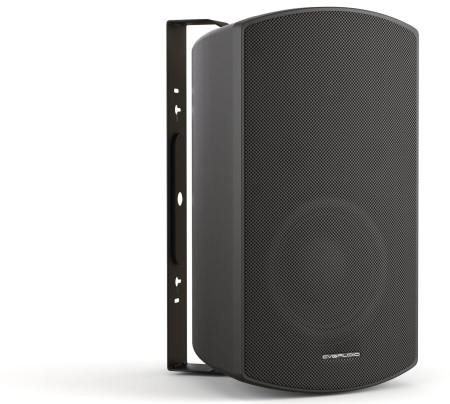 Громкоговоритель настенный CVGaudio RF616TBL