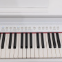 Цифровое пианино Rockdale Fantasia 64 White