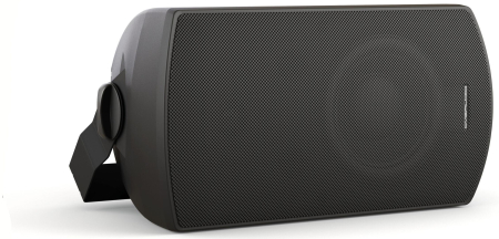 Громкоговоритель настенный CVGaudio RF616TBL