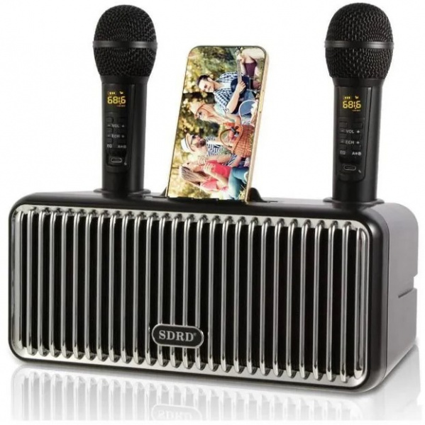 Караоке система с двумя радиомикрофонами  SDRD SD-319 Black
