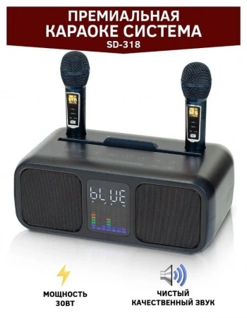 Караоке система с двумя радиомикрофонами SDRD SD 318 Dark Blue
