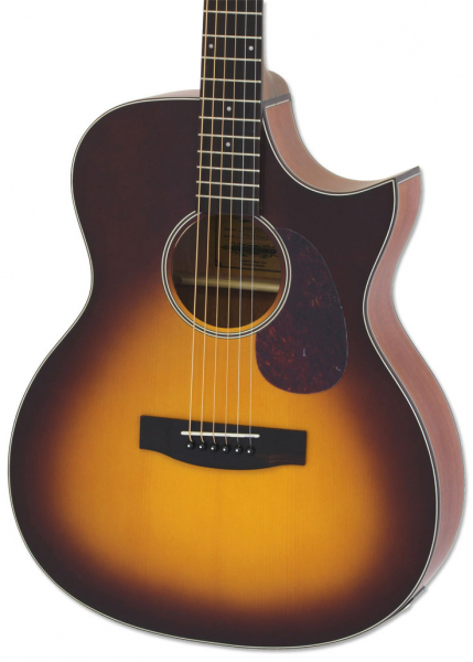 Гитара электроакустическая ARIA-101CE MTTS