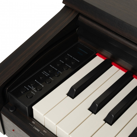 Цифровое пианино Rockdale Bolero Rosewood