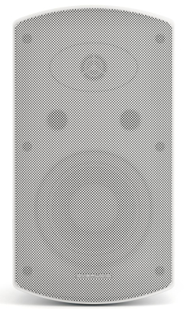 Громкоговоритель настенный CVGaudio RF616TW