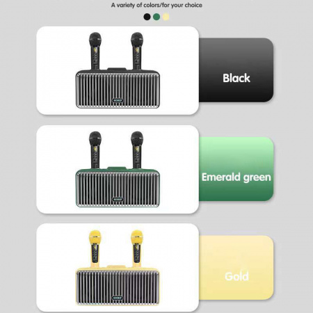 Караоке система с двумя радиомикрофонами  SDRD SD-319 Emerald Green