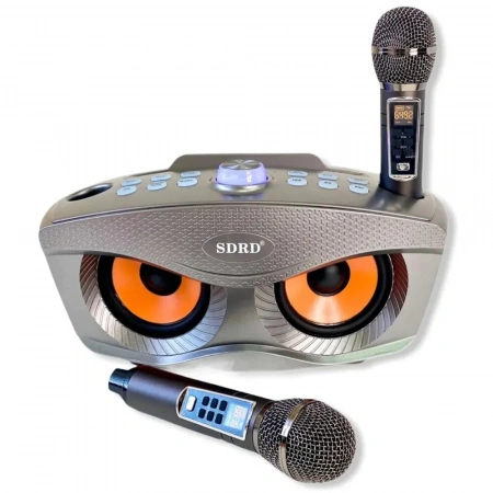 Караоке система с двумя радиомикрофонами SDRD SD 306 Plus Gold (Сова)