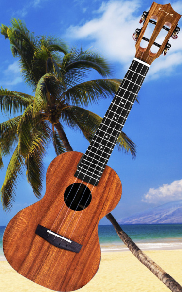 Укулеле Enya EUC-X1