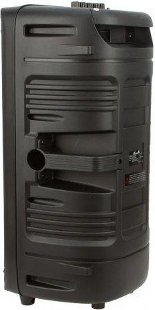 Портативная Акустическая система ELTRONIC EL 20-20 FIRE BOX 300