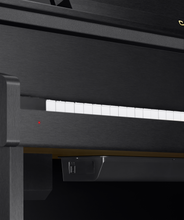 Цифровое пианино Casio Celviano GP-310BK