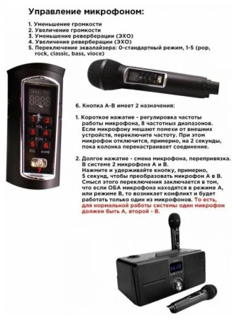 Караоке система с двумя радиомикрофонами SDRD SD 309