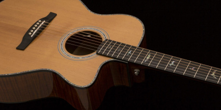 Гитара акустическая PRS SE AE50E BLACK GOLD