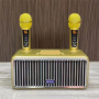 Караоке система с двумя радиомикрофонами  SDRD SD-319 Gold