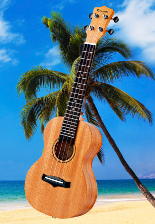 Укулеле Enya EUS-25D