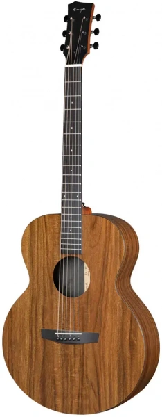 Гитара акустическая Enya EA-X1+