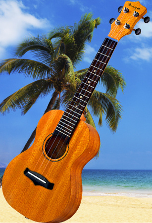 Укулеле Enya EUC-25D