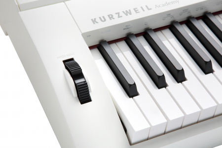 Цифровое пианино Kurzweil KA90 WH
