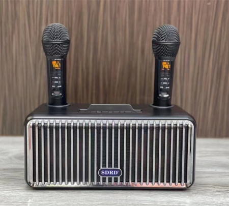 Караоке система с двумя радиомикрофонами  SDRD SD-319 Black