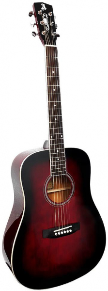 Гитара акустическая ALICANTE TITANIUM WR