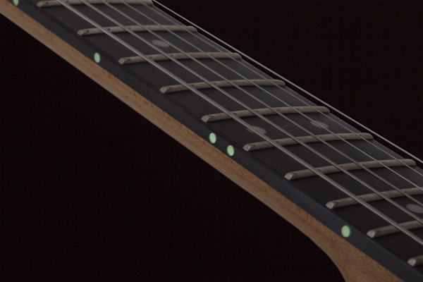 Электрогитара SCHECTER PT PRO TPB