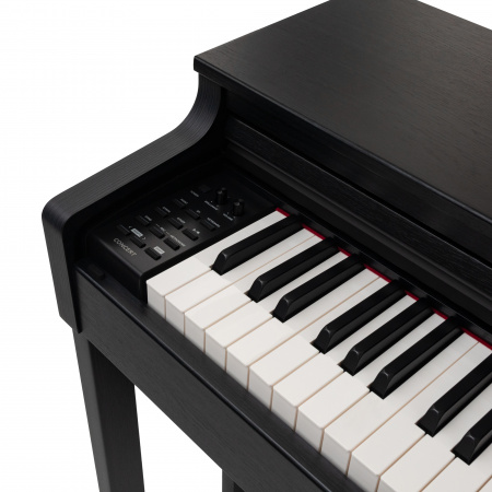 Цифровое пианино Rockdale Concert Black